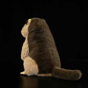 Squirrel & Hamster Plush Toy – Cute Soft Flannel Stuffed Animal Doll for Home Decor & Gifting (20–25cm)