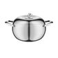 Stainless Steel Steamer Pot with Lid