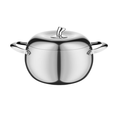 Stainless Steel Steamer Pot with Lid
