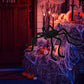 Halloween Spinnenweb Decoratie Rekwisieten