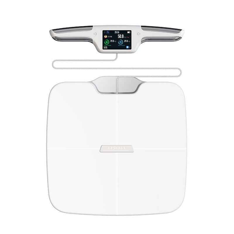 Professional Body Meter Intelligent Precision Electronic Scale Gym Tester