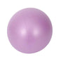 Balance Fitness Gymnastics Yoga Ball