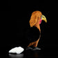 Brown-Necked Hornbill Plush Toy – Original Design Exotic Bird Stuffed Animal