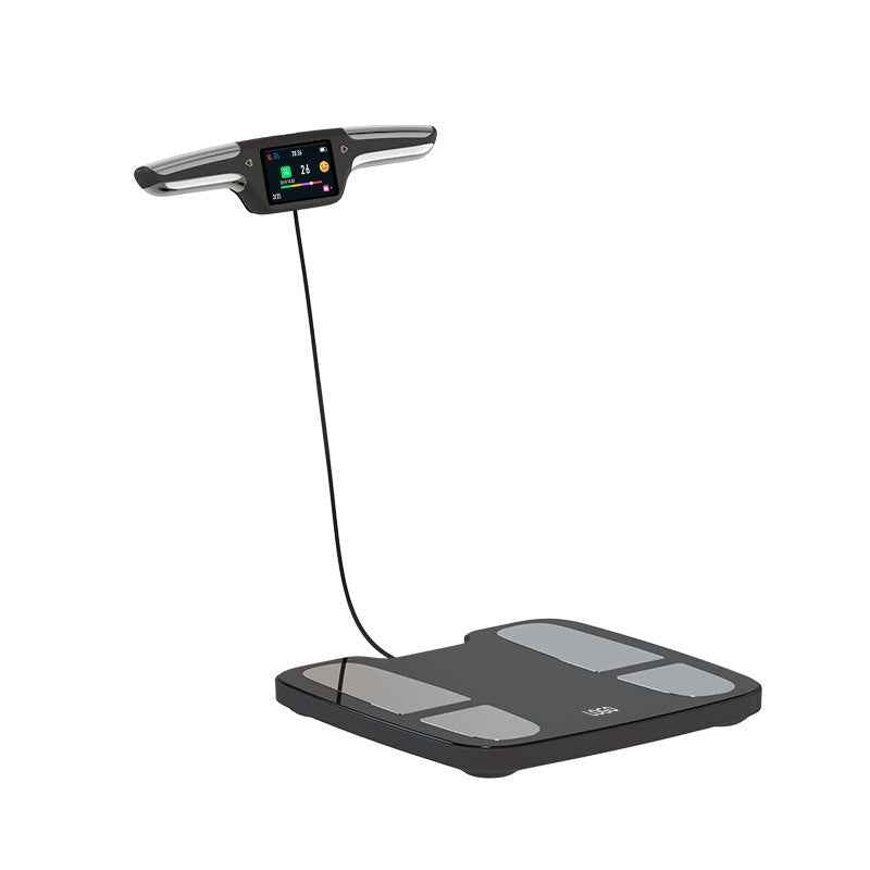 Professional Body Meter Intelligent Precision Electronic Scale Gym Tester