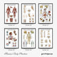 Wall Chart Human Anatomy Muscles Gym Medical Education Decorative Painting