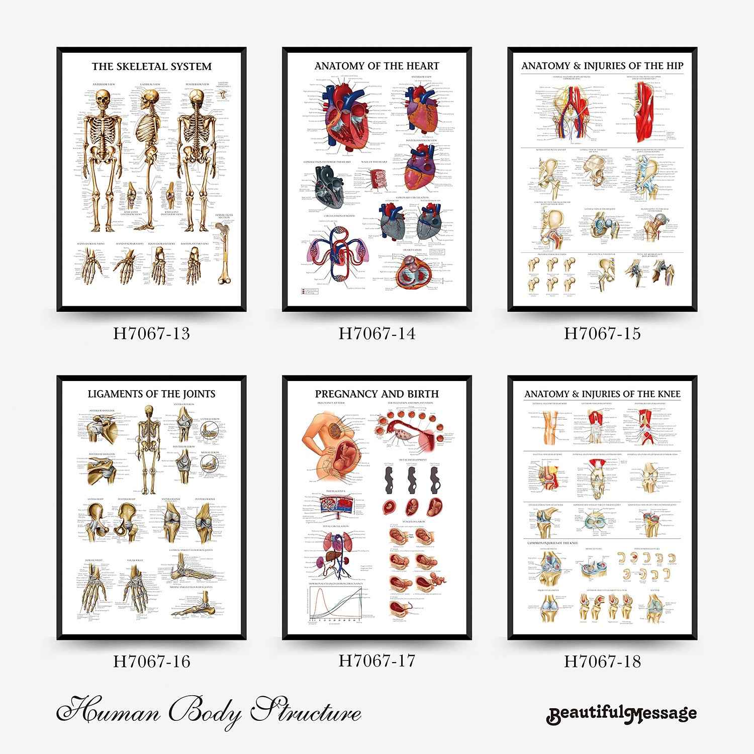 Wall Chart Human Anatomy Muscles Gym Medical Education Decorative Painting