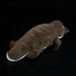 Platypus Plush Toy – Cute Duck-Billed Flannel Stuffed Animal Doll (43cm)