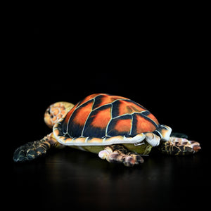 Cute Turtle Plush Toy – Soft Realistic Stuffed Animal Doll for Kids & Gift (32cm)