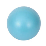 Balance Fitness Gymnastics Yoga Ball