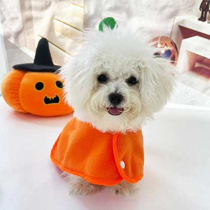 Halloween Huisdierenmantel Kostuum – Leuke Katten & Honden Halloween Outfit (3 Ontwerpen, XS–XL)
