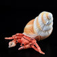 Simulated Hermit Crab Plush Toy – Realistic Stuffed Sea Creature Doll for Kids & Collectors (30cm)