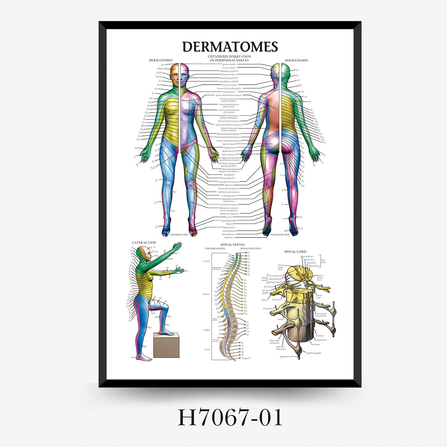 342203032-1