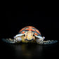 Cute Turtle Plush Toy – Soft Realistic Stuffed Animal Doll for Kids & Gift (32cm)