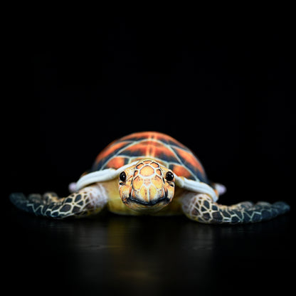 Cute Turtle Plush Toy – Soft Realistic Stuffed Animal Doll for Kids & Gift (32cm)